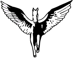 Image result for Pegasus Trampoline Club