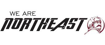 Image result for North East Vikings