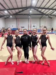 Image result for Huntingdon Olympic Gym Club