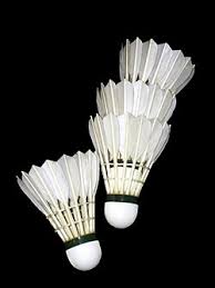 Image result for Shuttlecocks Badminton Club