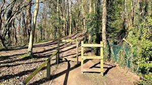 Image result for Corby Scrabble Club