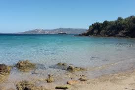Image result for capo d'orso