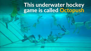 Image result for Jersey Octopush Club