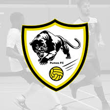 Image result for Pumas Netball Club