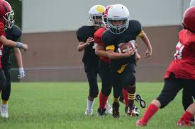 Image result for Little Common Community Sports Club