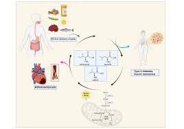 Image result for BCKA