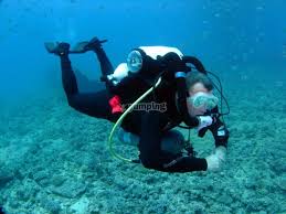 Image result for Maidstone Sub Aqua Club