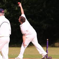Image result for Yelverton Bohemians Cricket Club