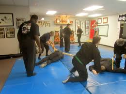 Image result for Bujinkan Mid Kent Dojo