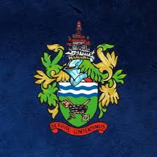 Image result for Chertsey Albion Fc