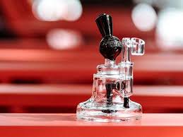 Attēlu rezultāti vaicājumam “Physarum orbis”