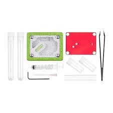 Image result for ytong ants