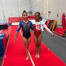 Image result for North East London Gymnastics Club
