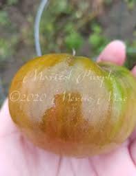 Afbeeldingsresultaat voor marizol purple tomato