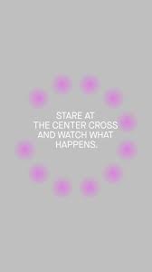 Image result for Lilac Chaser