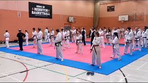 Image result for Swindon Tagb Tae Kwon Do School