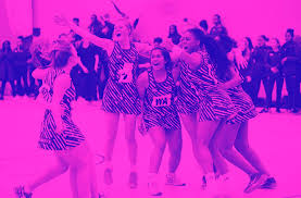 Image result for Mk Netters Netball Club