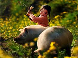 Image result for 2005早春