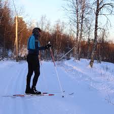 Image result for Scandinavian slope and cross country skiing