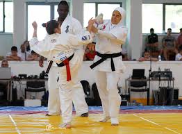 Image result for Kyokushin Karate
