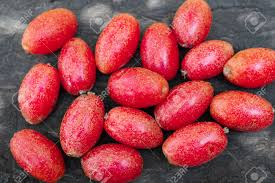 Attēlu rezultāti vaicājumam “Campanula latifolia fruit”