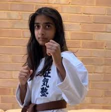 Image result for Seiki Juku Karate Club