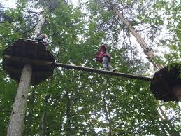 Image result for Go Ape! Leeds Castle