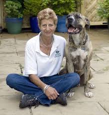 Image result for Banbury Bulldogs