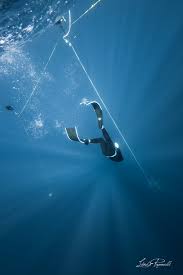 Image result for Blue Water Freediving School
