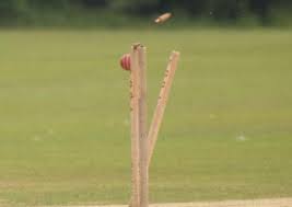 Image result for LITTLE GADDESDEN CRICKET CLUB
