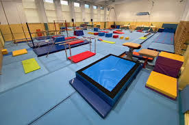 Image result for Europa Gymnastics Club, Bexley