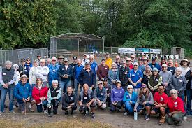 Image result for Cuckoos Pétanque Club