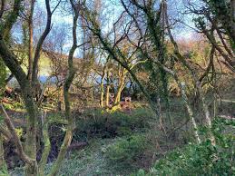 Image result for Ashcombe Valley Archers