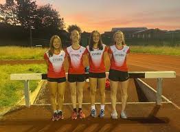 Image result for Pembrokeshire Harriers
