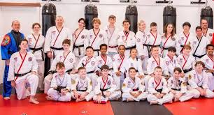 Image result for Taekwondo Witney