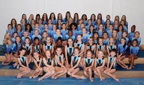 Image result for East Staffs Gymnastics Club