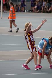 Image result for Wombles Netball Club