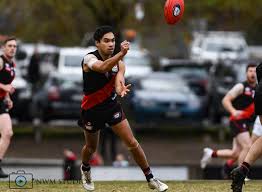 Image result for Eltham Panthers