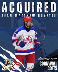 Image result for Cornwall Cougars