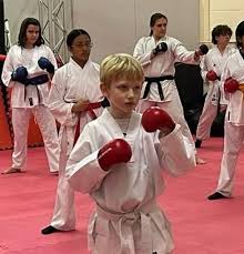 Image result for Colchester Wado Ryu Karate