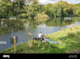 Image result for Thames Valley Angling