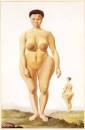 Article: The Sable Venus on the Middle Passage: Images of the ...