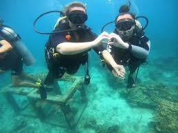 Image result for Simply Scuba