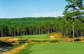 Image result for Plymouth Swallows Gc