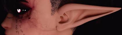 Image result for ear mod