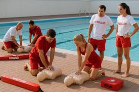 Image result for Dover Lifeguard Sc