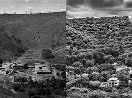 Image result for sebastiao salgado