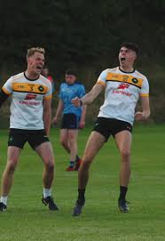 Image result for Ballyhegan Davitts Gaa Club