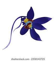 Attēlu rezultāti vaicājumam “Epipogium aphyllum flower”