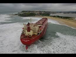 Image result for Pasha bulker